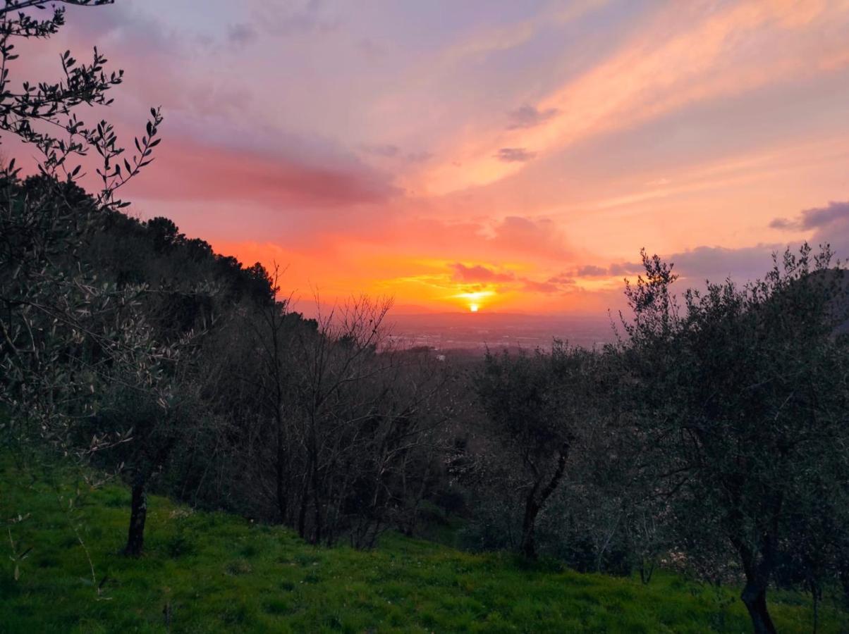 B&B Rosso Baccara Montevettolini Bagian luar foto